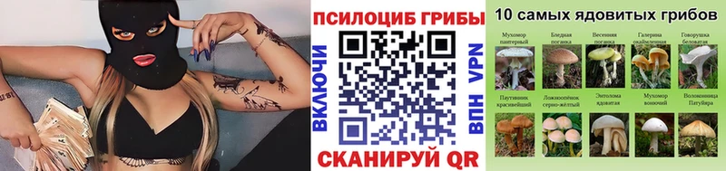 Галлюциногенные грибы мицелий Западная Двина