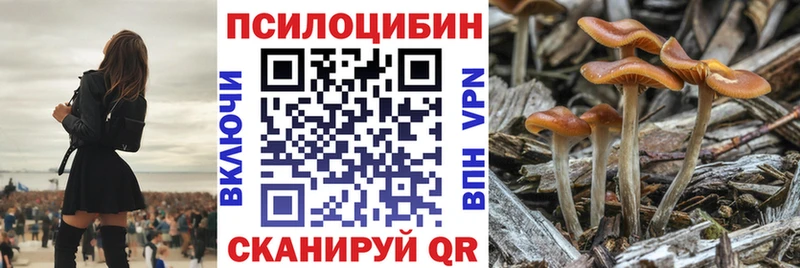 цены   мориарти клад  Галлюциногенные грибы Psilocybe  Западная Двина 